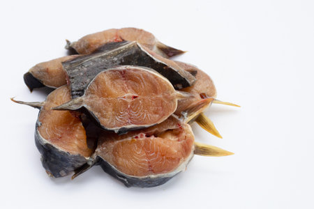 Catfish cut pieces on white background.の写真素材