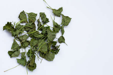 Gotu Kola dried leaves on white background.の写真素材