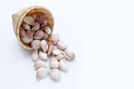Garlic on white background. Copy spaceの写真素材