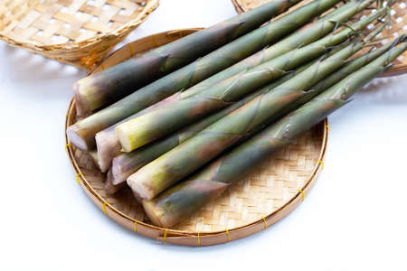 Fresh bamboo shoots in basket on white background.の写真素材