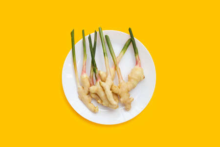 Young ginger in white plate on yellow background.の写真素材