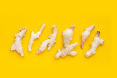 Young ginger on yellow background.の写真素材