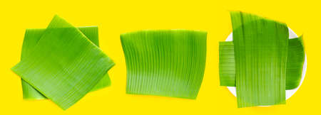 Banana green leaves on yellow background.の写真素材