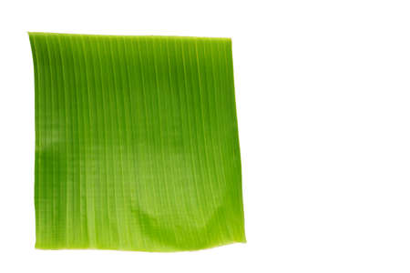 Banana green leaf on white background.の写真素材