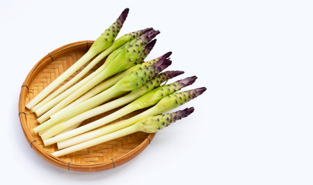 Curcuma sessilis flower in bamboo basket on white background.の写真素材