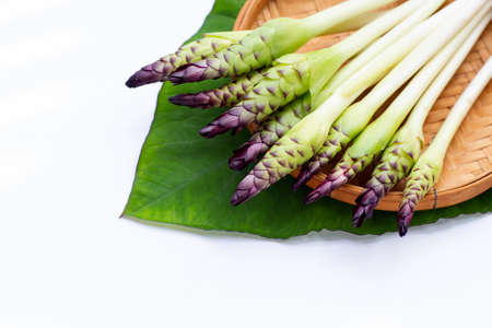 Curcuma sessilis flower in bamboo basket on white background.の写真素材