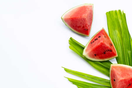 Watermelon on white background. Copy spaceの写真素材