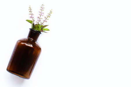 Fresh holy basil flower with essential oil bottle on white background.の写真素材
