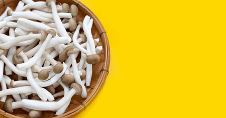 Brown beech mushrooms, Shimeji mushroom, Edible mushroom on yellow background.の写真素材