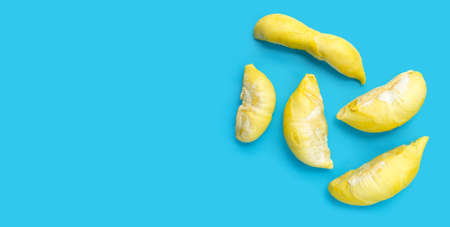Raw durian on blue background.の写真素材