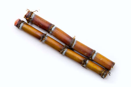 Sugar cane on white background.の写真素材