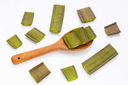 Fruit of Broken Bone tree on white background.の写真素材