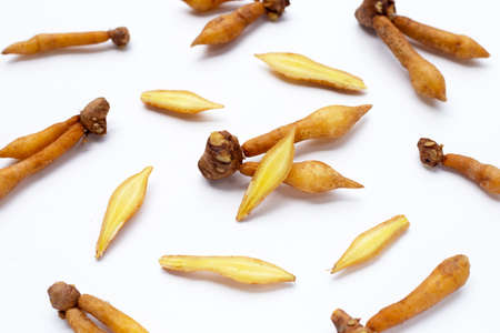 fingerroot on a white background.