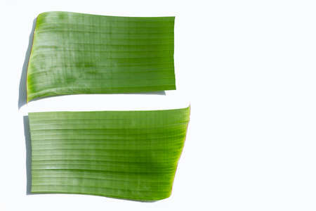 Banana green leaf on white background.の写真素材