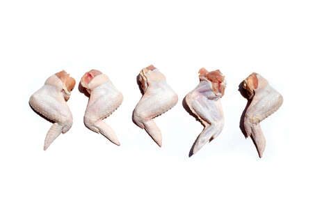 Fresh raw chicken wings in white background.