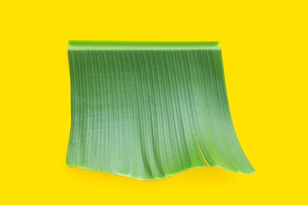 Banana leaf on yellow background.の写真素材