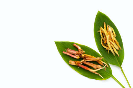 Sliced finger root on green leaves on white background.の写真素材