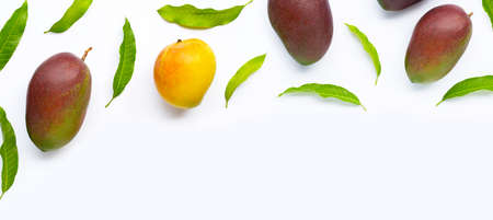 Mango, Tropical fruit with leaves on white background.の写真素材