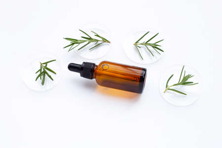 Essential oil with rosemary leaves in petri dishes on white background.の写真素材