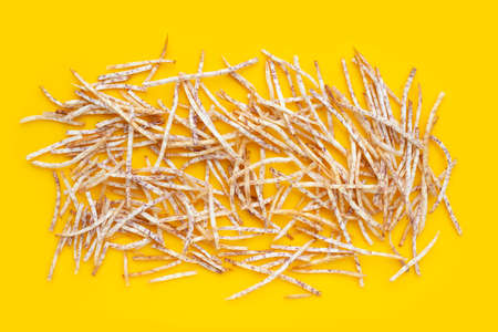 Fried taro sticks on yellow background.の写真素材