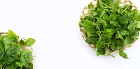 Watercress in bamboo basket on white background