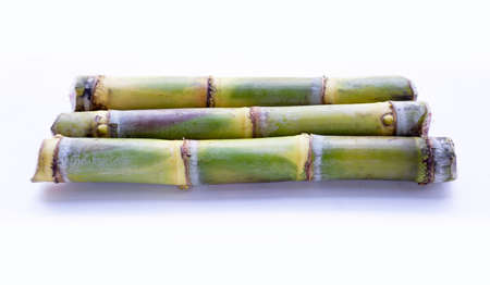 Sugar cane on white background.の写真素材