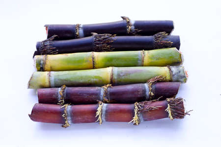 Sugar cane on white background.