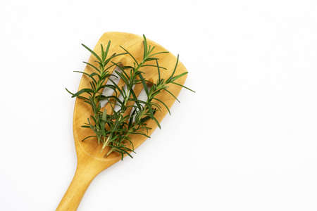 Rosemary leaves on wooden spatula on white background.の写真素材