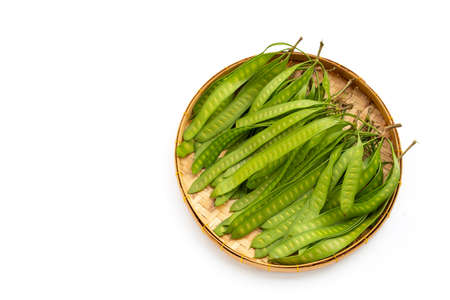 Young fruit of Leucaena leucocepphala in bamboo basket on white background.の写真素材