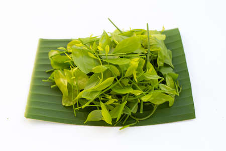 Melientha suavis pierre leaves on banana leafの写真素材