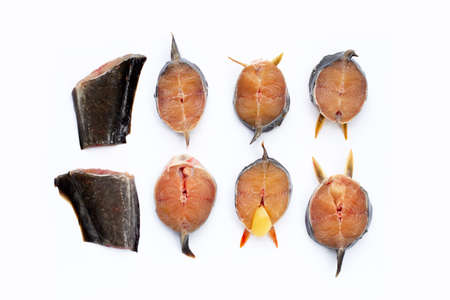 Catfish cut pieces on white background.の写真素材