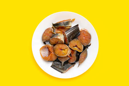 Catfish cut pieces in white plate on yellow background.の写真素材