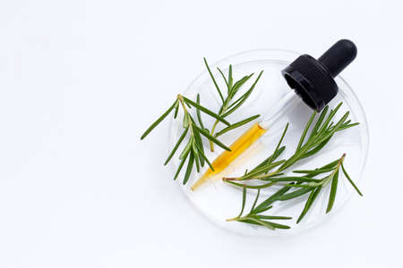 Essential oil with rosemary leaves in petri dishes on white background.の写真素材