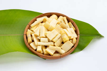 Fresh bamboo shoots in bamboo basket on green leafの写真素材