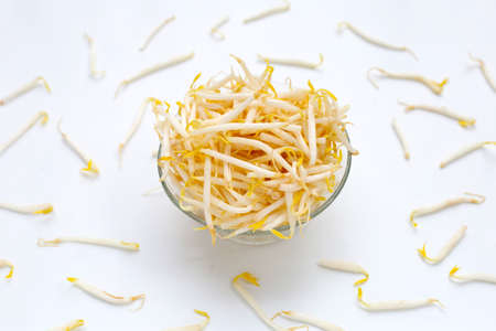 Bean sprouts on white backgroundの写真素材