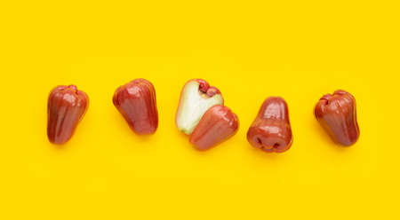 Rose apple on yellow backgroundの写真素材