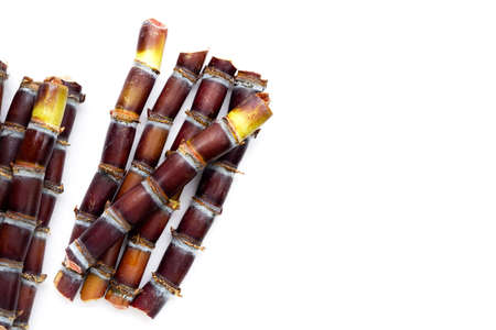 Sugar cane on white background.の写真素材