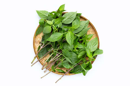 Sweet basil leaves in bamboo basket on white background.の写真素材