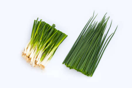 Spring onions on white background