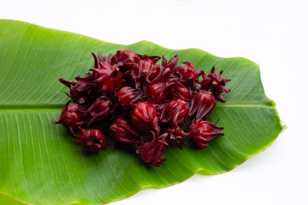 Roselle flower on banana leafの写真素材