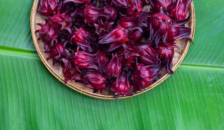 Roselle flower in bamboo basket on banana leaf