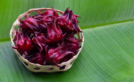 Roselle flower in bamboo basket on banana leaf