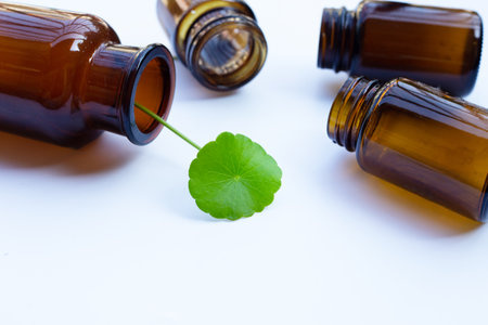 Fresh green centella asiatica leaf with brown bottles on white background.の写真素材