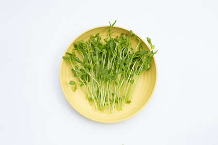 Pea Sprouts in yellow plate on white background.の写真素材