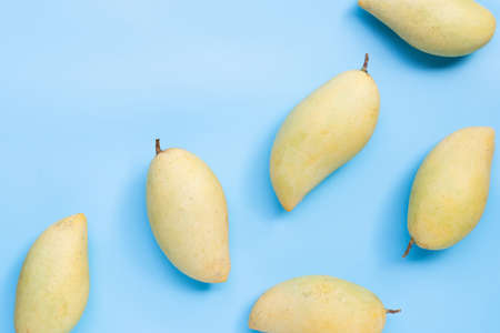 Tropical fruit, Mango on blue background. Top view