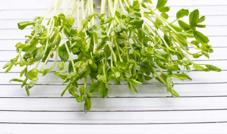 Pea Sprouts on white background.