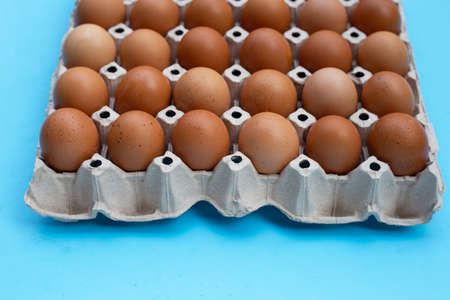 Chicken eggs in paper egg crate