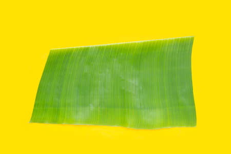 Banana green leaf on yellow background.の写真素材