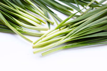 Fresh Chinese Chive leaves on white background.の写真素材