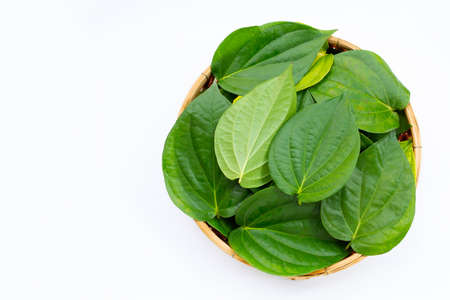 Green betel leaves, Fresh piper betle in bamboo basket on white background